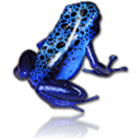 azureus copy